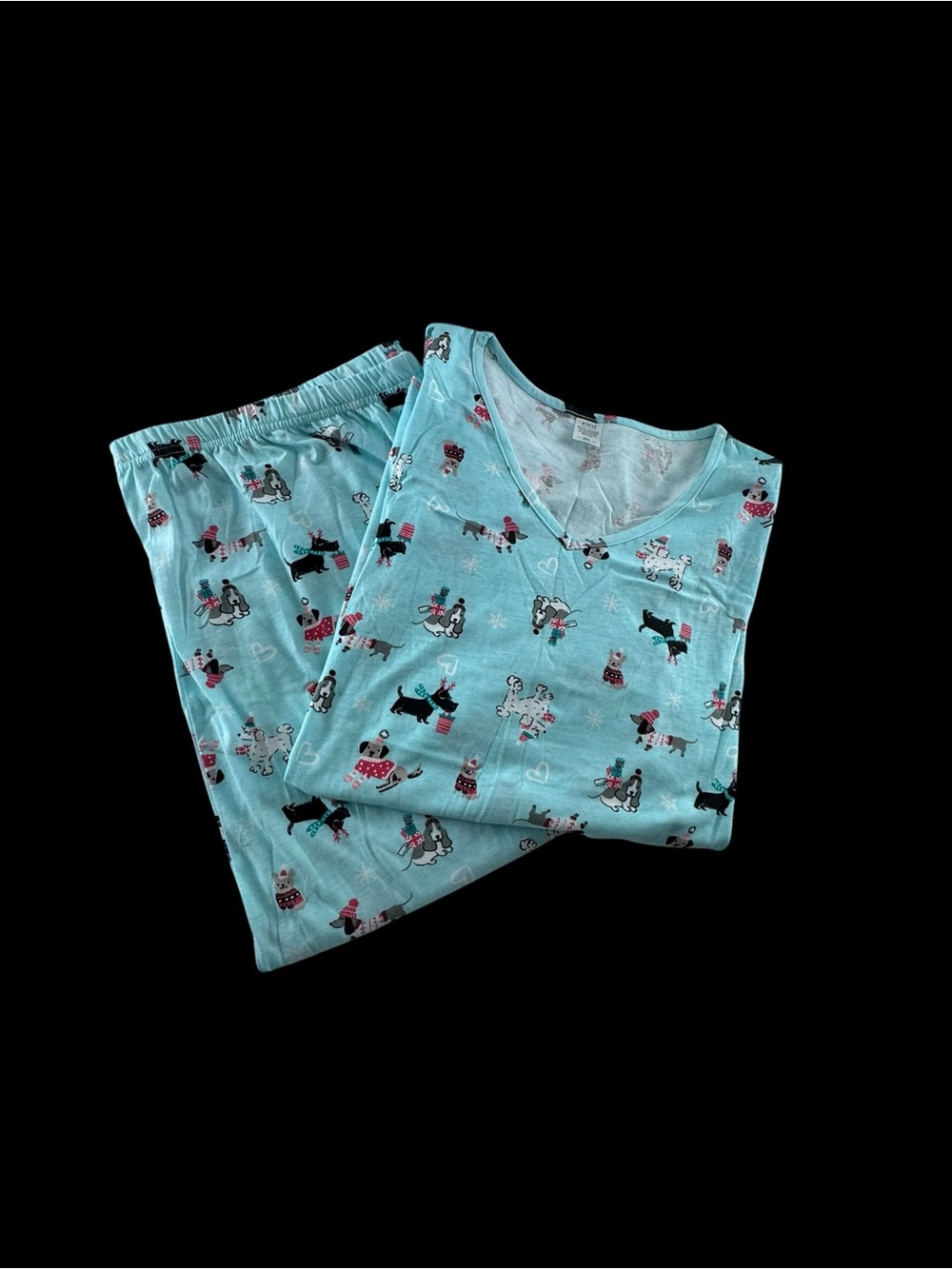 Women’s Light Blue Dog Print Pajama Set